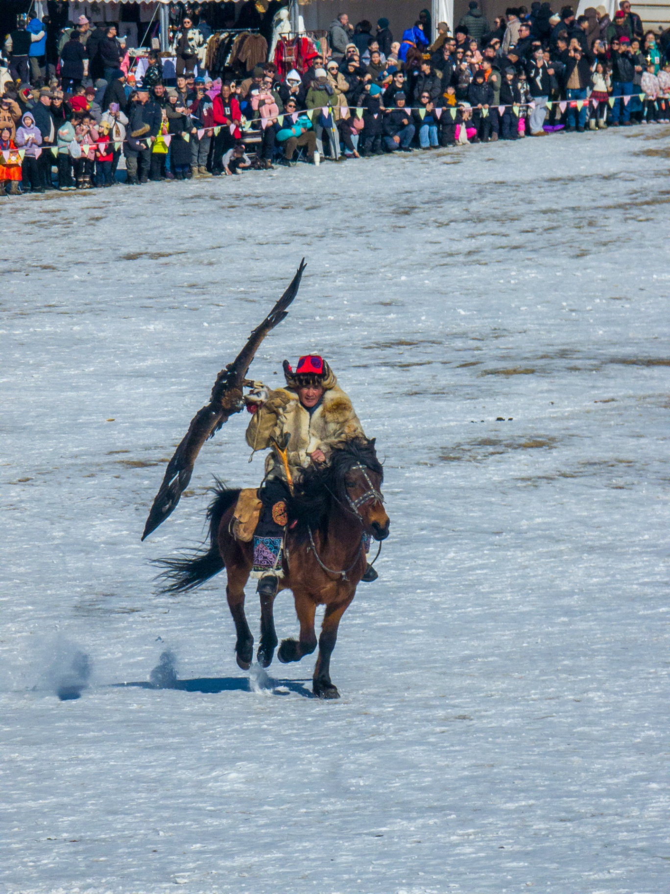 Kazakh eagle hunter riding with a golden eagle at the festival